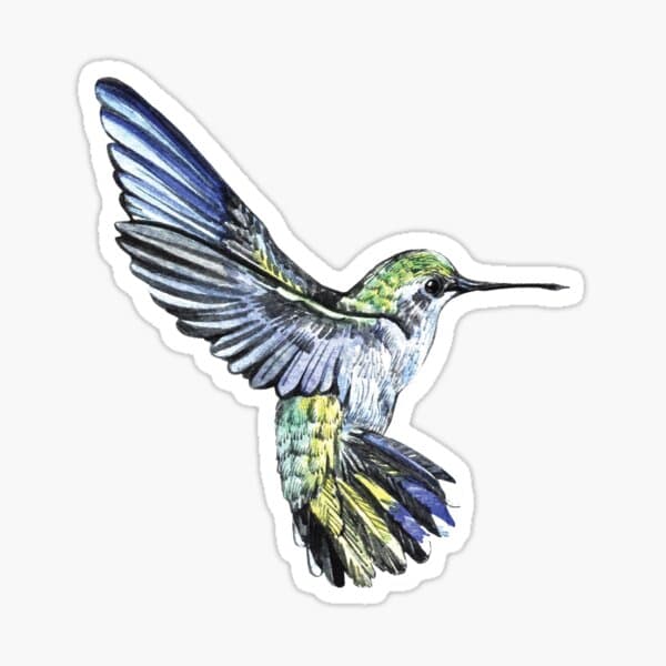 Colorful Bird