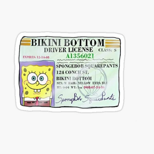 Spongebob License