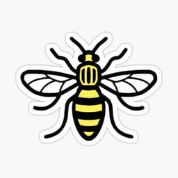 Manchester Bee