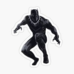 Black Panther Suit