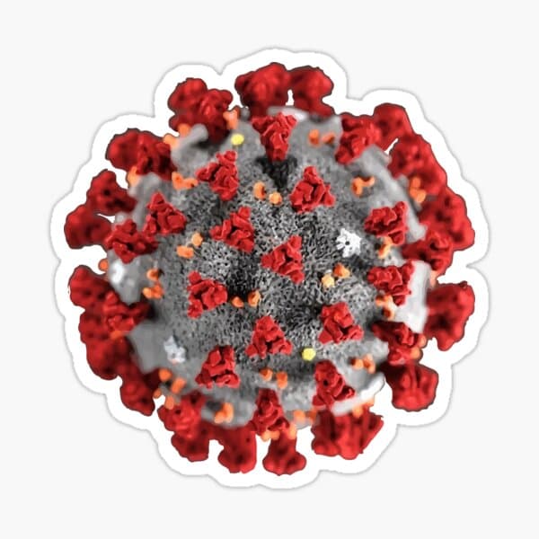 Corona Virus