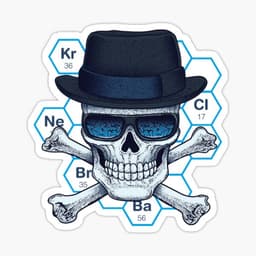 Heisenberg Skull