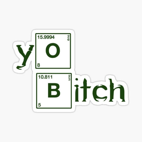 Yo Bitch